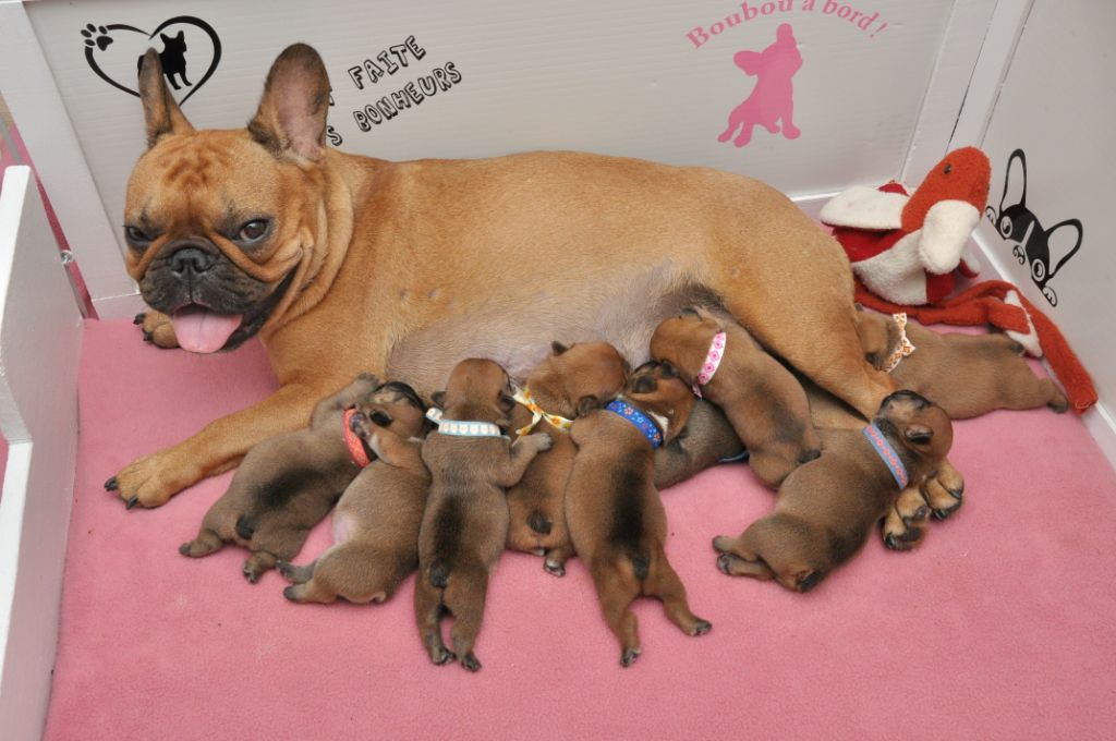 Les bébés d'Olympe sont arrivés