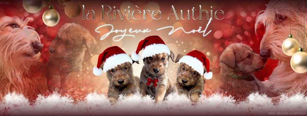 De La Riviere Authie - JOYEUX NOËL 