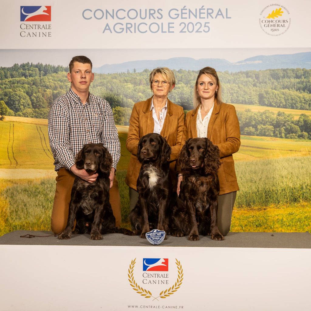 Meister Des Waldes - Concours Général Agricole 2025