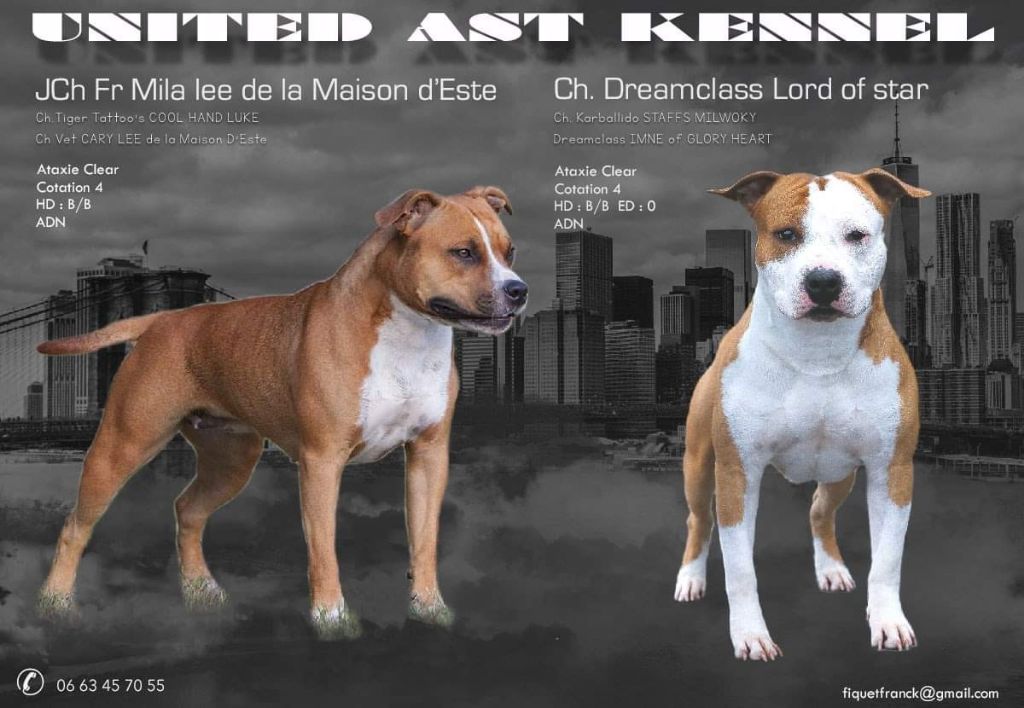 UNITED AST KENNEL