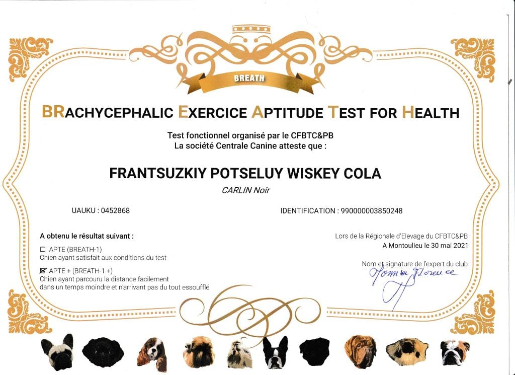 Test BREATH FRANTSUZKIY POTSELUY WISKEY&COLA