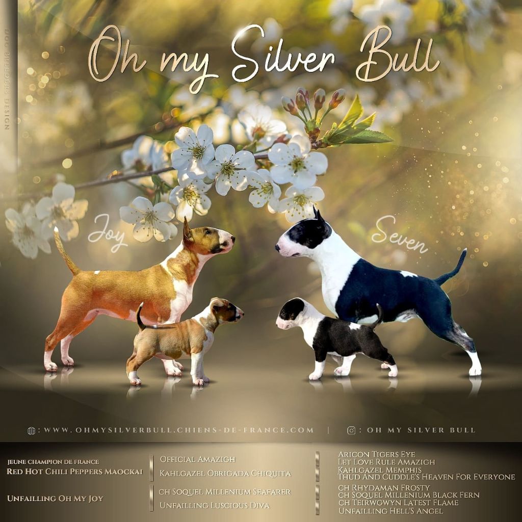 Oh My Silver Bull - Bébés en Mai 2022