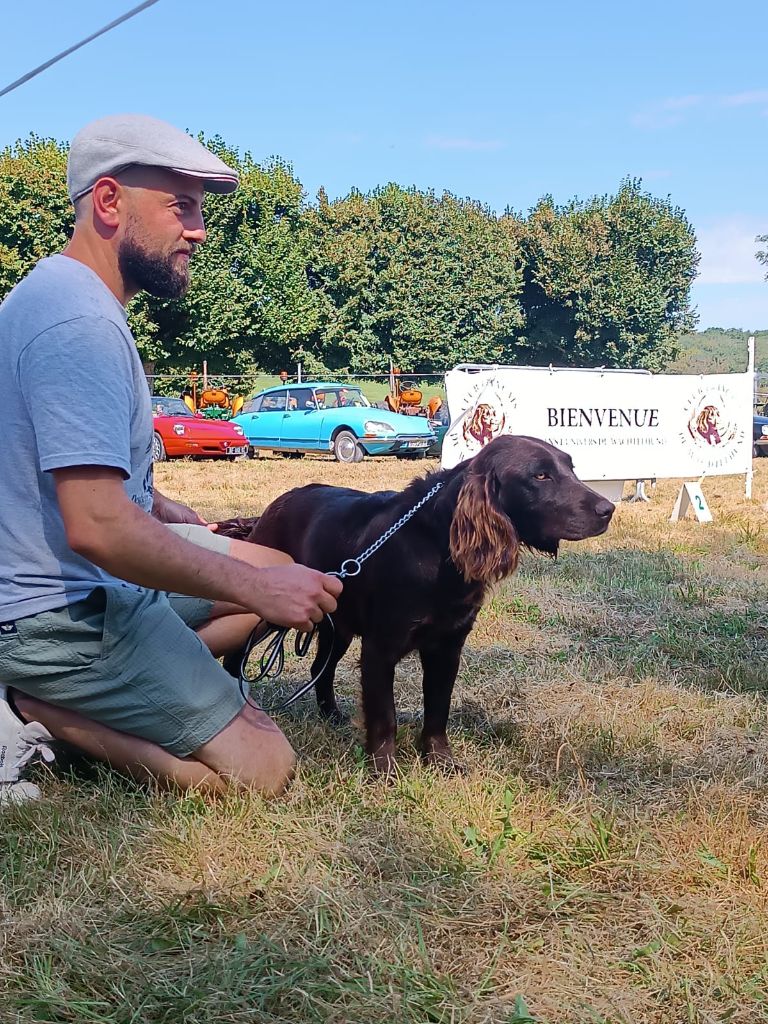 Des Voix Du Val - Nationale d'élevage Club Français du Wachtelhund 