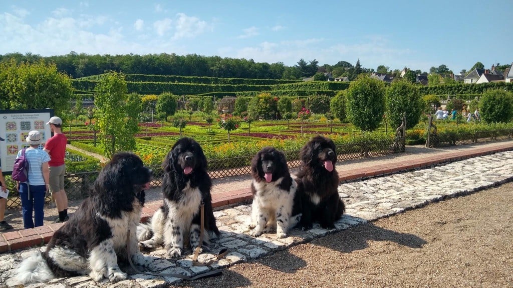 De La Grande Casse - Visite Château de la Loire