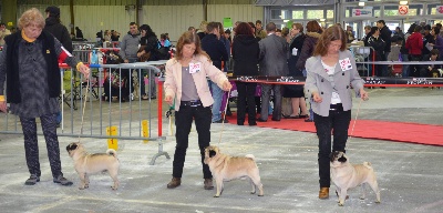 De la colline maya - 17.11.13 TARBES EXPO