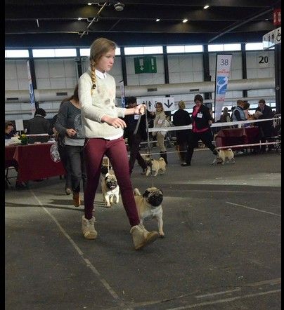 De la colline maya - BORDEAUX DOG SHOW 2015