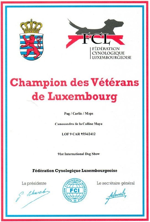 De la colline maya - CHAMPIONNE LUXEMBOURG