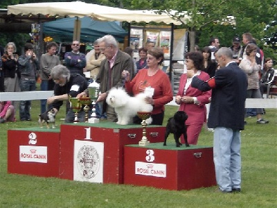 Fiorellino - Spéciale Libourne