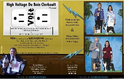 Des gardiens du bois clerbault - Parution dans le magazine USA