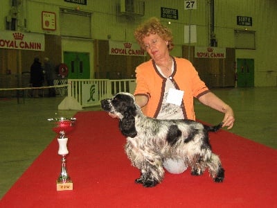 Du bois des amourettes - Le Bois des Amourettes à l'honneur au Paris Dog Show !!!