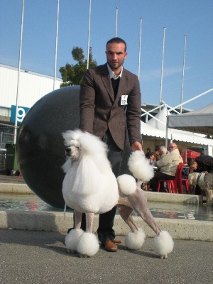 des prés de l'Eden - Exposition Lausanne ( Suisse )