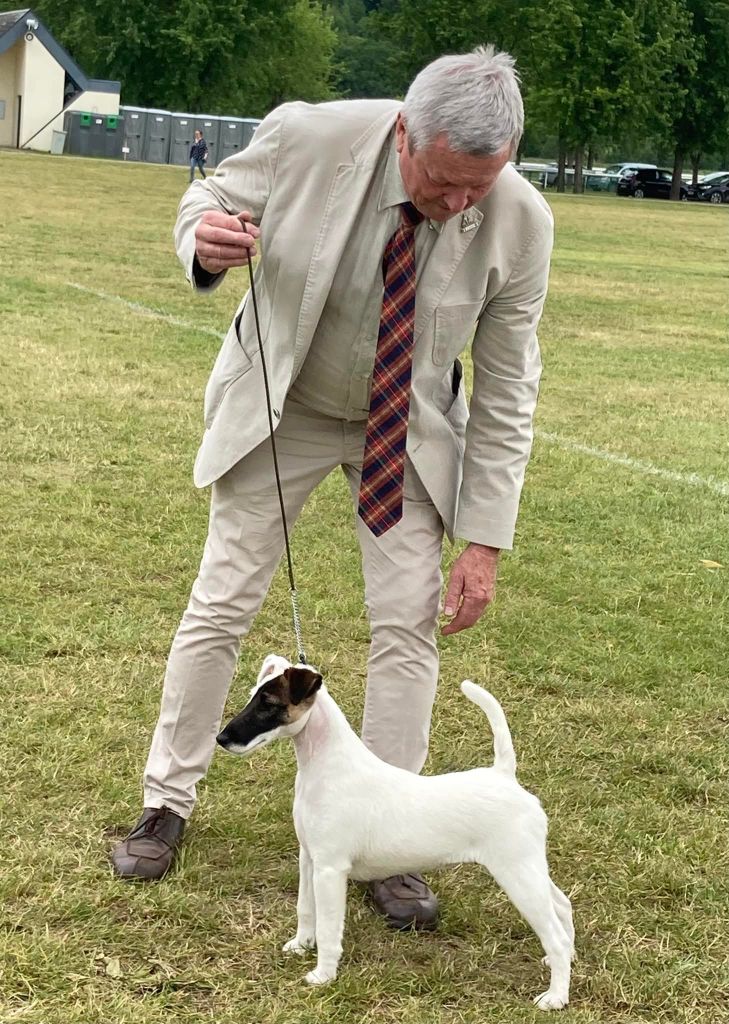 du Manoir Saint Adrien - SISSOU -GAME FAIR - 3E GRAND PRIX SCC DU CHIEN DE CHASSE - LE 19/06/22