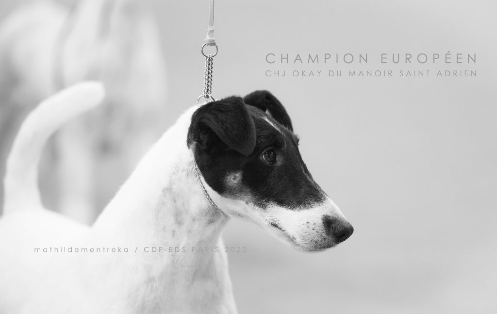 du Manoir Saint Adrien - CHAMPIONNAT D'EUROPE 2022 - OKAY CHAMPION EUROPEEN