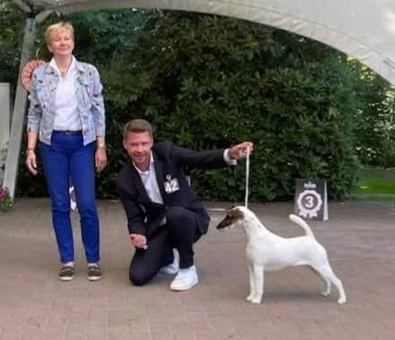 du Manoir Saint Adrien - RIANA DOG SHOW ALLEMAGNE - 16/17 JUILLET 22