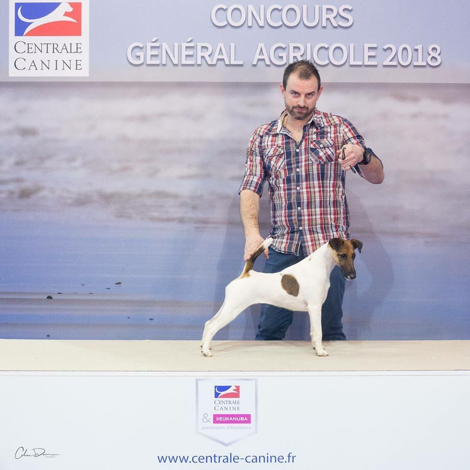 du Manoir Saint Adrien - SALON DE L'AGRICULTURE CGA 2018