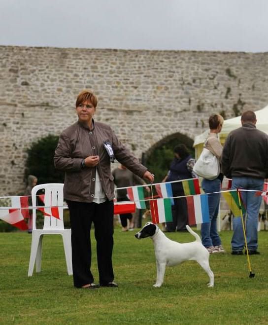 du Manoir Saint Adrien - EUROPEAN FOX-TERRIER WINNER SHOW 2014