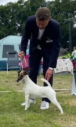 du Manoir Saint Adrien - RIANA DOG SHOW INTERNATIONAL ALLEMAGNE - 9/10 JUILLET 22