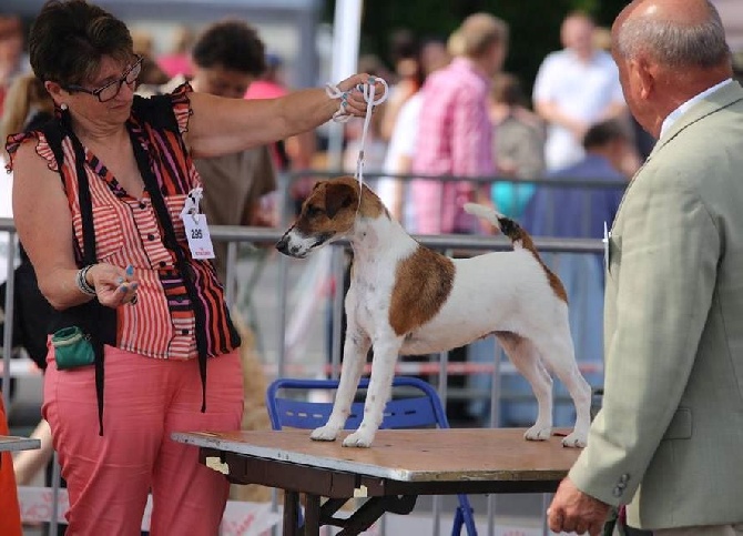 du Manoir Saint Adrien - CACS COULOMMIERS LE 05/07/2015