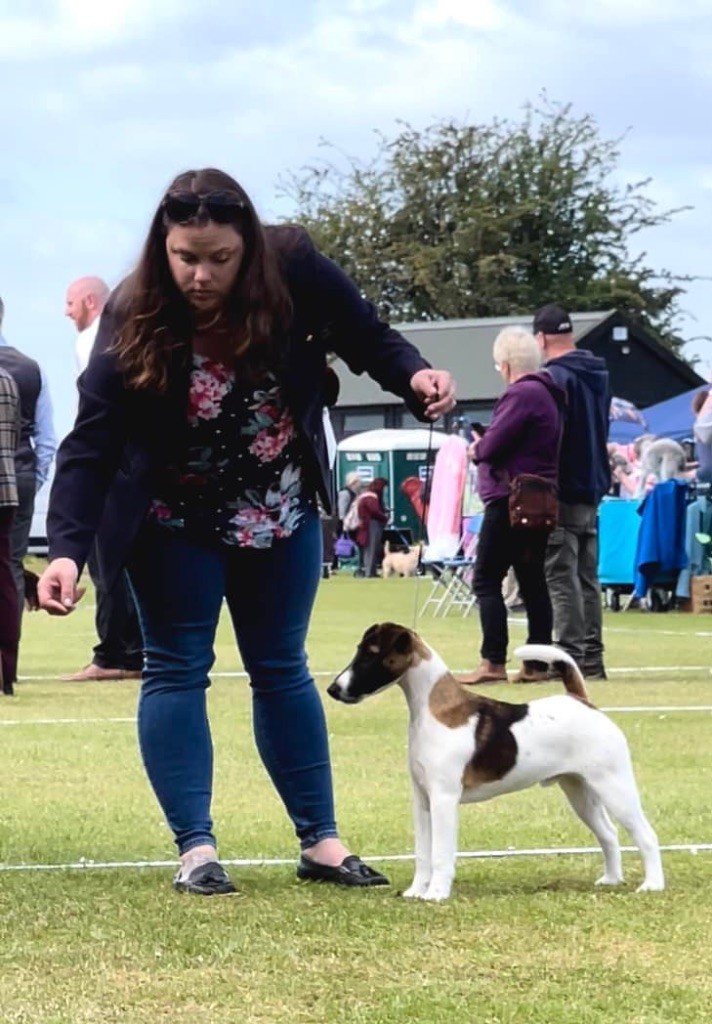 du Manoir Saint Adrien - DOG SHOW EN UK - SPIRIT DIT HENRI DU MANOIR SAINT ADRIEN - 27/05/22 