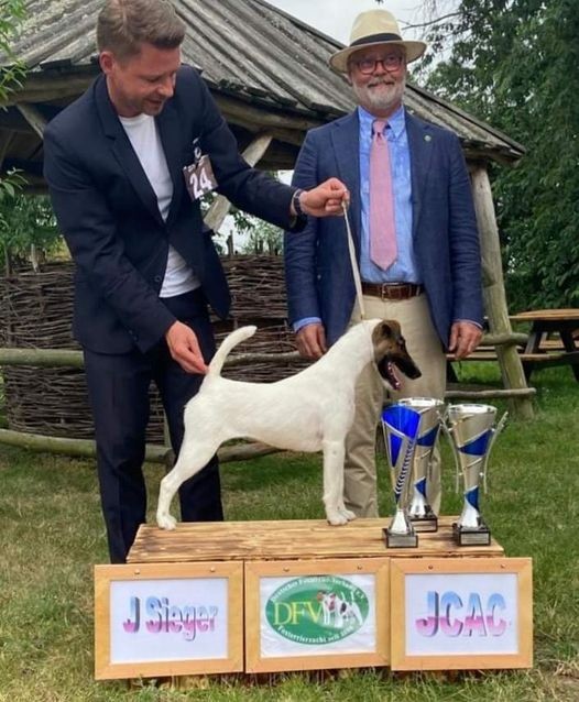 du Manoir Saint Adrien - RIANA SPECIALE FOX TERRIER CLUB EN ALLEMAGNE - 20/06/21