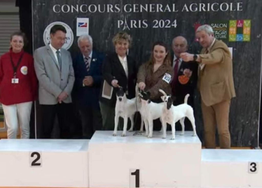 du Manoir Saint Adrien - SALON DE L'AGRICULTURE 2024 SIA  - MEDAILLE D'OR - LOT DE REPRODUCTEUR