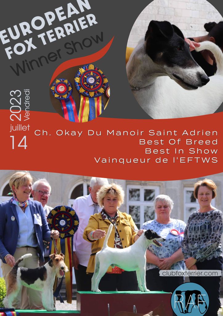 du Manoir Saint Adrien - CH OKAY - QUE DU BONHEUR CE CHIEN - BEST IN SHOW AU SHOW EFTWS