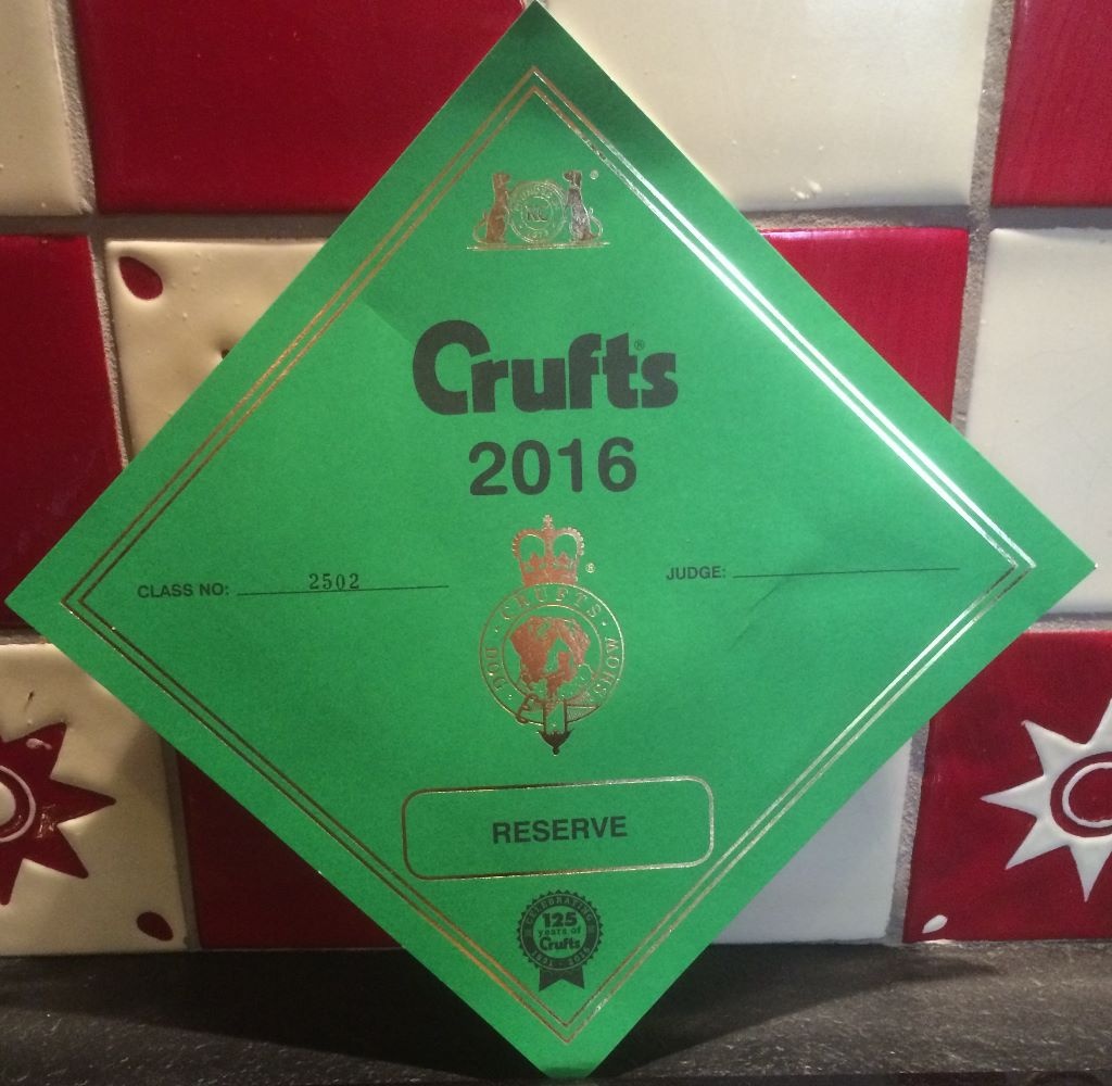 du Manoir Saint Adrien - CRUFTS 13/03/2016