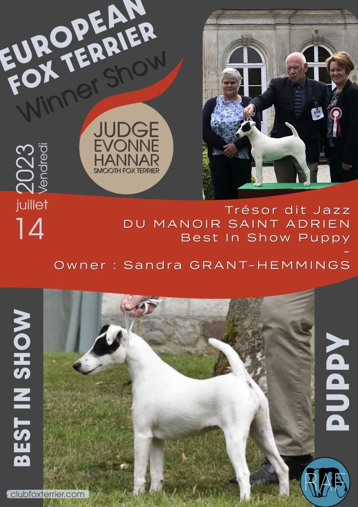 du Manoir Saint Adrien - TRESOR DIT JAZZ DU MANOIR SAINT ADRIEN - BEST PUPPY - LE 14/07/2023