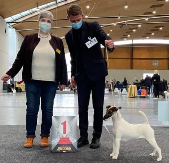 du Manoir Saint Adrien - CH RIANA KARLSRUHE INTERNATIONAL DOG SHOW EN ALLEMAGNE