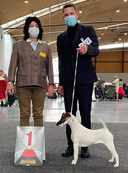 du Manoir Saint Adrien - 2EME JOUR CH RIANA KARLSRUHE INTERNATIONAL DOG SHOW EN ALLEMAGNE