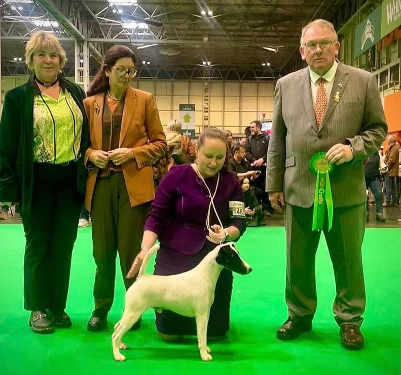 du Manoir Saint Adrien - CRUFTS 24 - UN DES PLUS GRAND SHOW MONDIAL - 11/03/2023