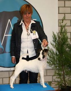 du Manoir Saint Adrien - CACS/CACIB MARSEILLE LE 29/11/2015