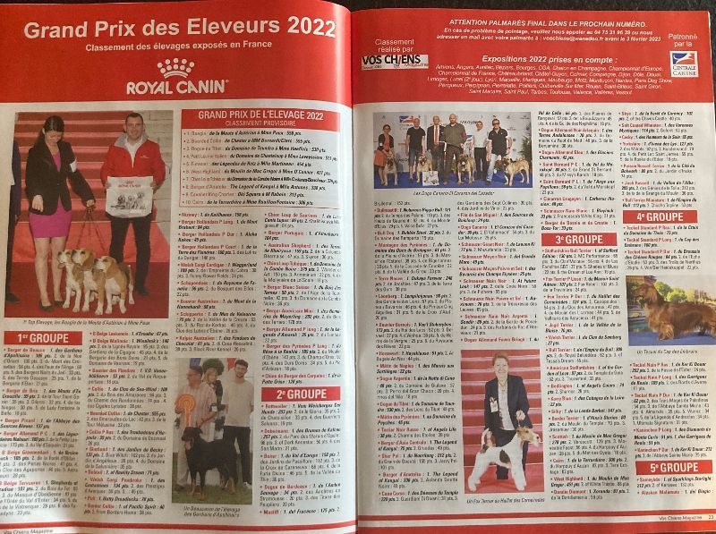 du Manoir Saint Adrien - NOTRE ELEVAGE N°1 2022- VOS CHIENS MAGAZINE - GRAND PRIX ELEVEURS 2022