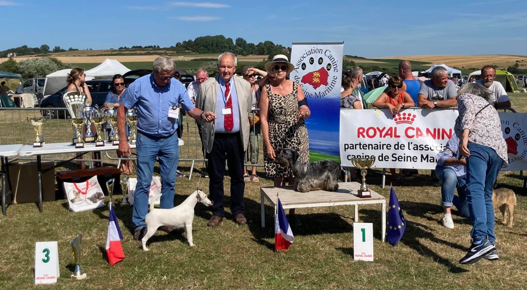 du Manoir Saint Adrien - SISSOU DOG SHOW NATIONAL - QUIBERVILLE LE 24/07/22