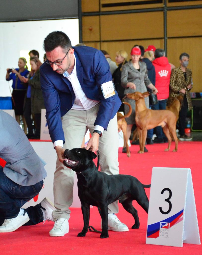 Une 3ème place au championnat de France 2022