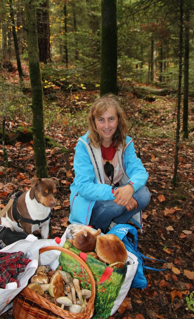 La chasse aux champignons