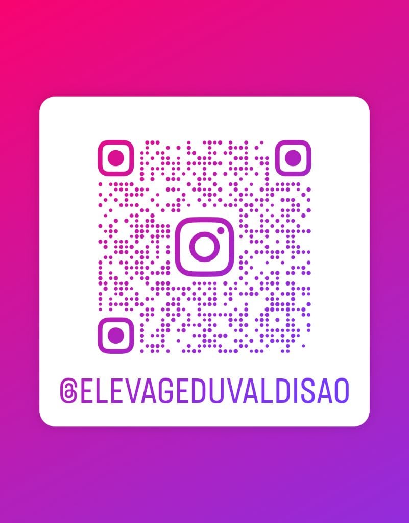 Du Val D'Isao - Instagram