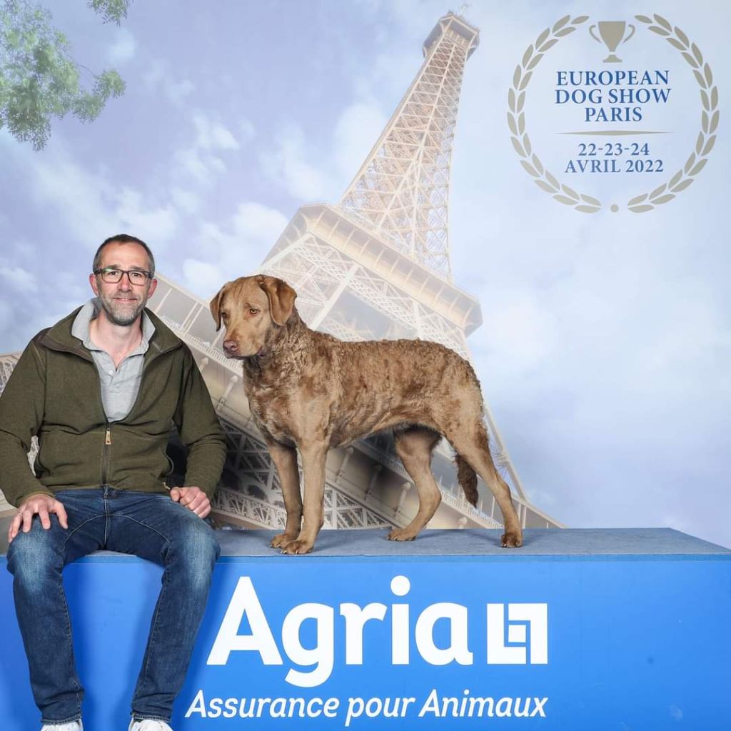 22-avr.-2022 - EUROPEAN DOG SHOW 2022