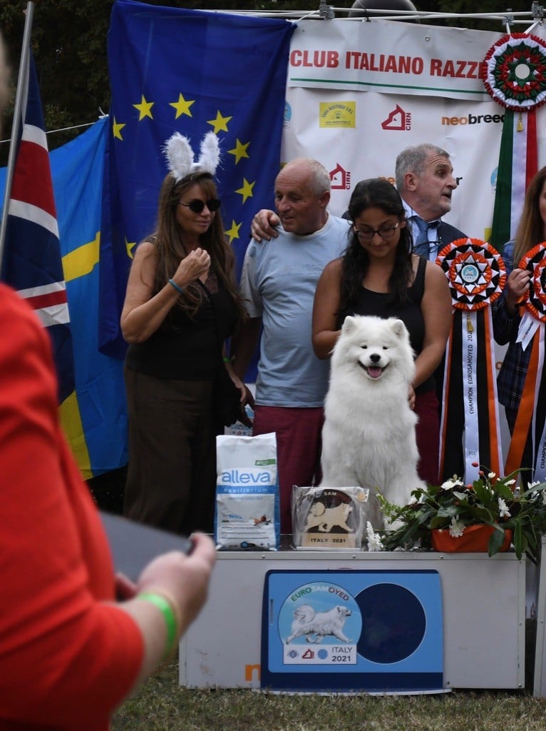 Fire On Fire - Euro Samoyed Show 2021