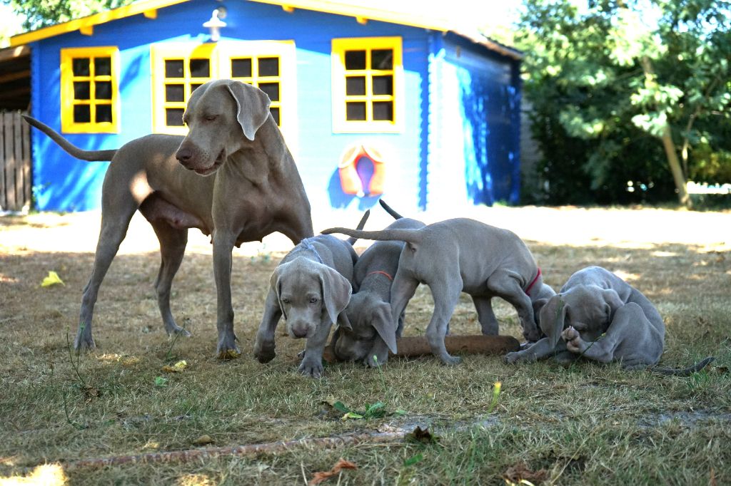 Des Baïnes De La Coubre - 7 semaines aujourd'hui pour les bébés! Que du bonheur!