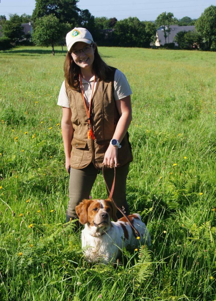 Du Bois Des Hautes Herbes - Field amateur du Club Saint Lois du Chien d'Arrêt