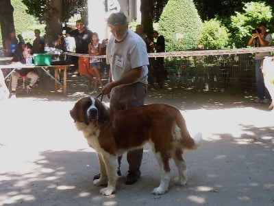 CACS le PUY en VELAY 2012