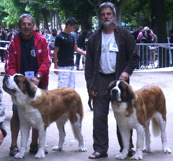 des Hauts de Saint Clair - C.A.C.S. Le                 PUY en VELAY