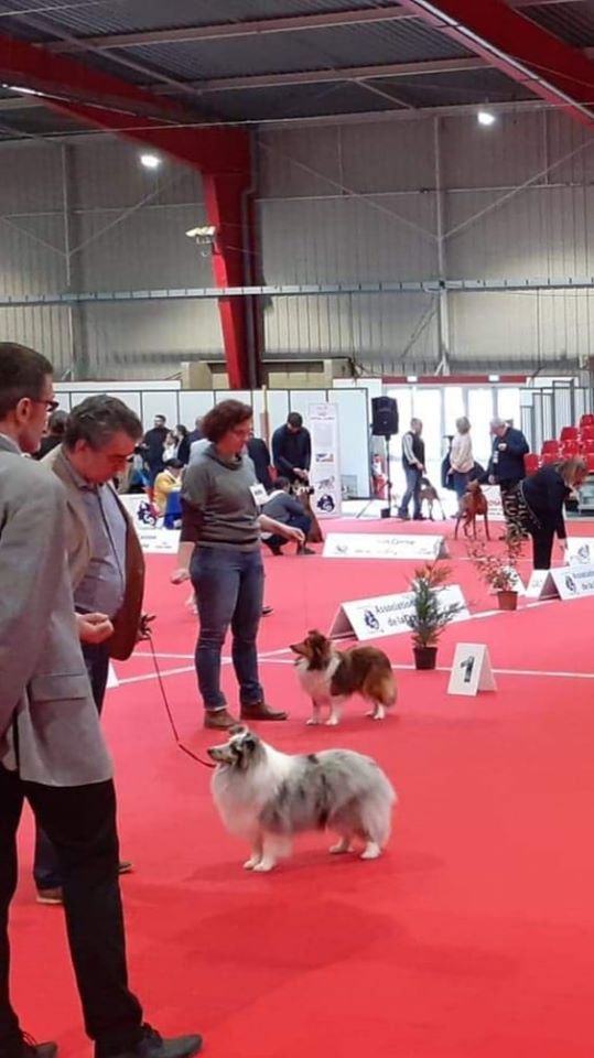 des Bordes Rouges - Exposition Internationale de Périgueux