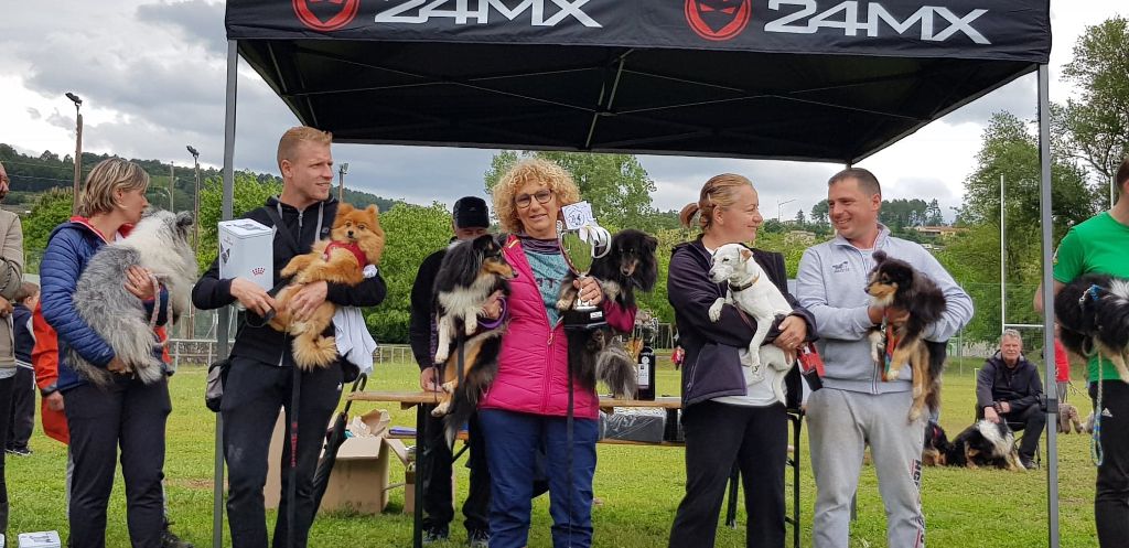 des Bordes Rouges - Agility Looys et Eddie