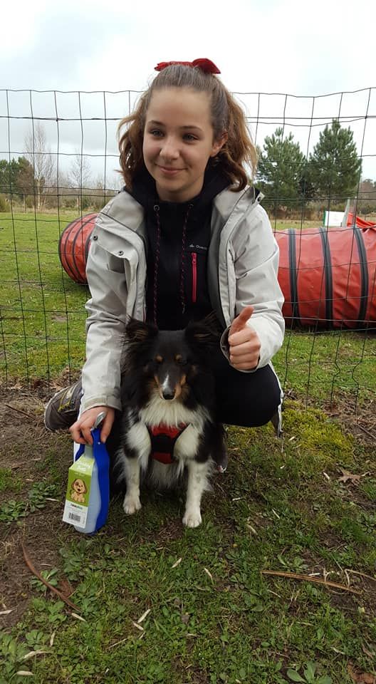 des Bordes Rouges - Agility: dernières nouvelles