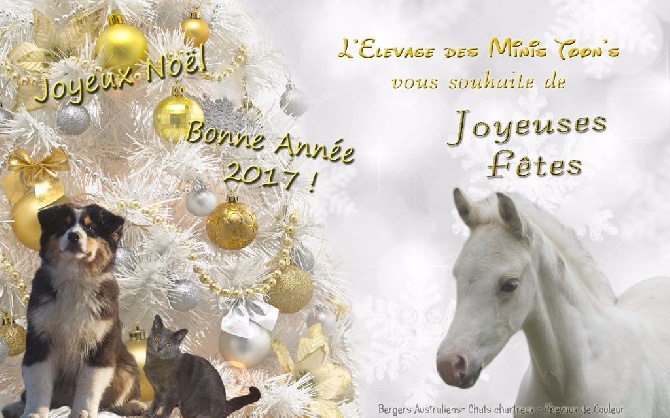 des minis toon's - Joyeuses fêtes !