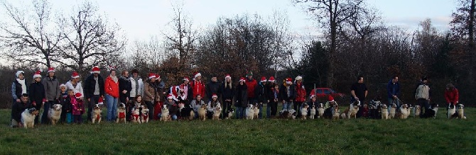 des minis toon's - Balade de Noël !