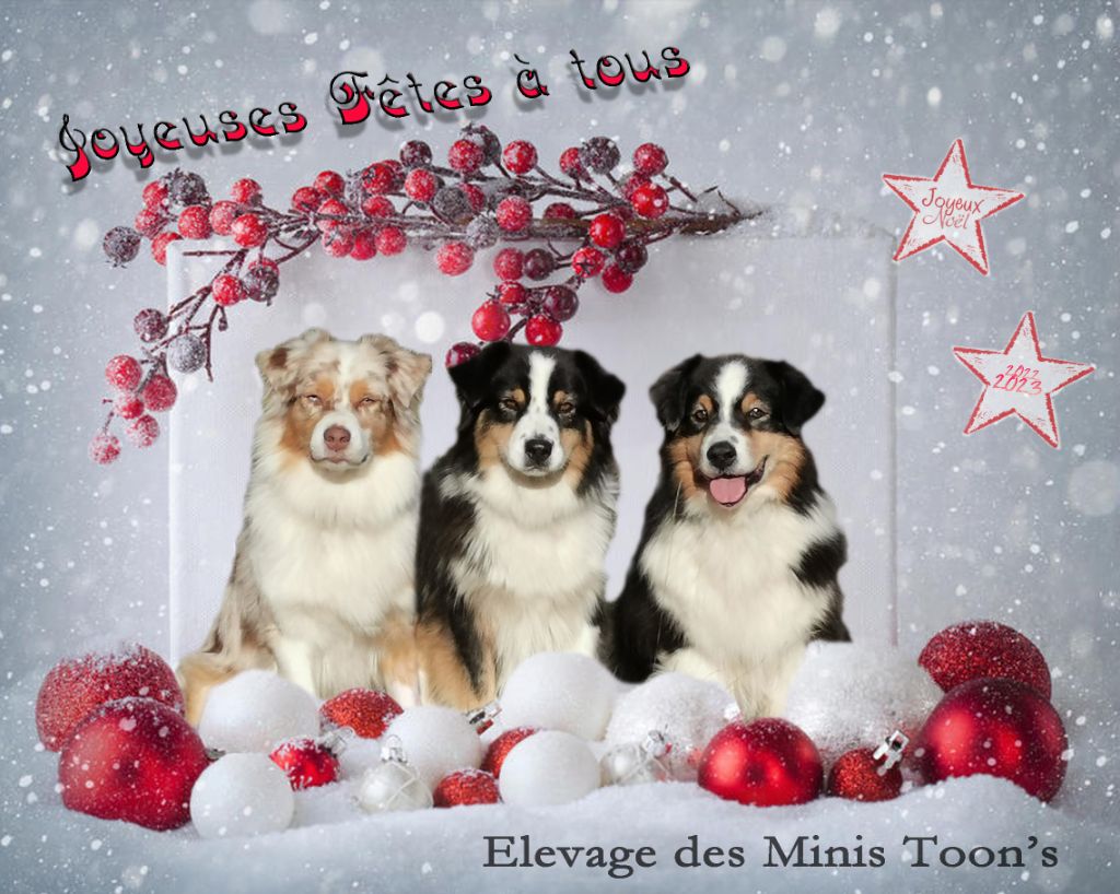 des minis toon's - Joyeuses Fêtes 