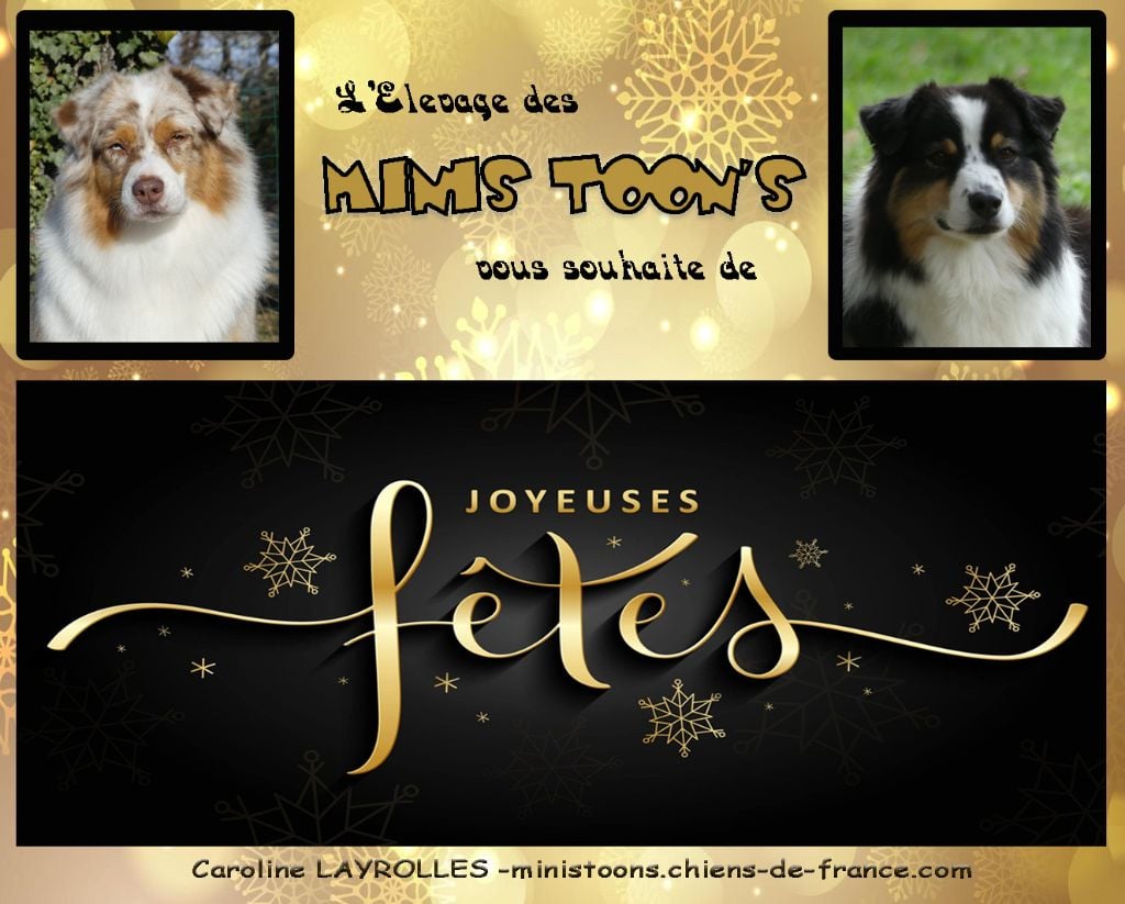 des minis toon's - Joyeuses Fêtes